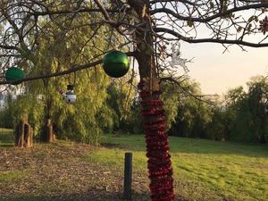 Photo of a festive tree