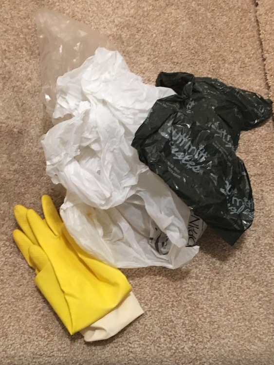 Photo of rubber gloves and plastic baggies
