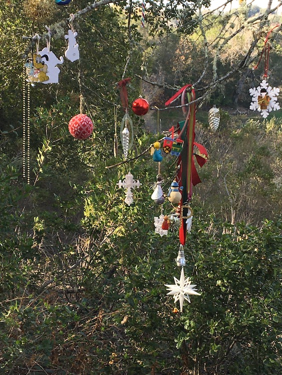 Photo of red and white ornaments hanging from a tree at the local reservoir