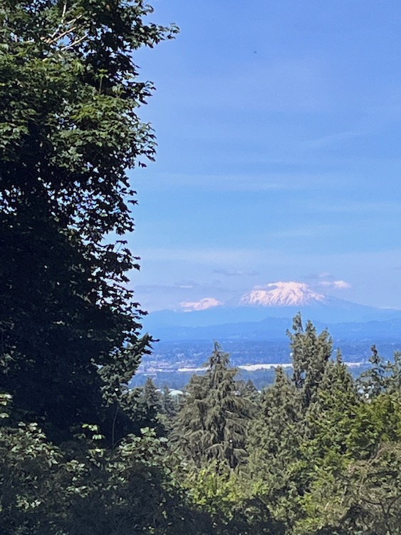 Photo of Mount Saint Helens from a distance, framed by trees below and to the left