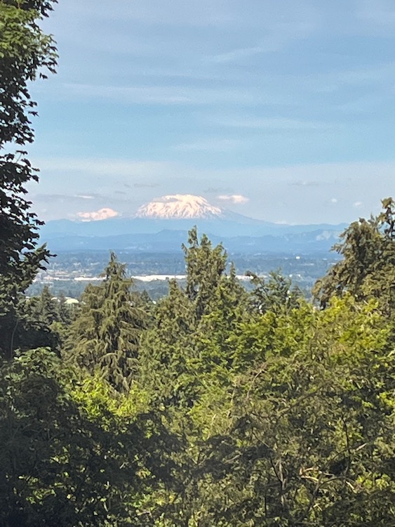 Photo of Mount Saint Helens from a distance, framed by trees below and to the left